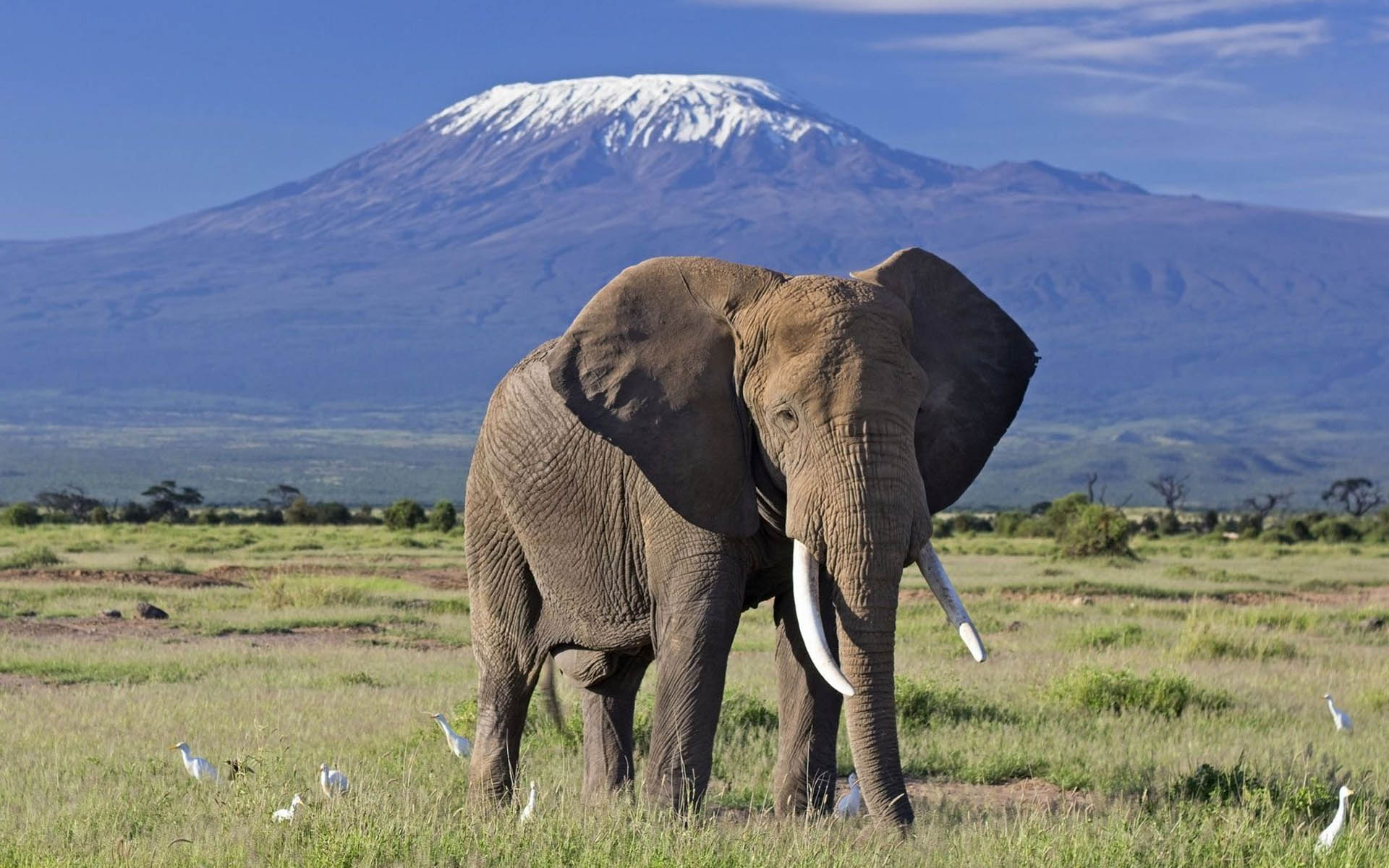 exciting east african tours